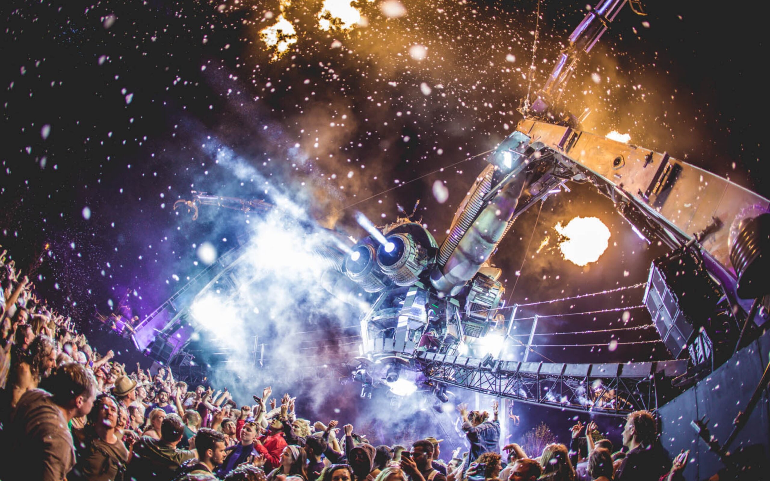 Arcadia Spider in London